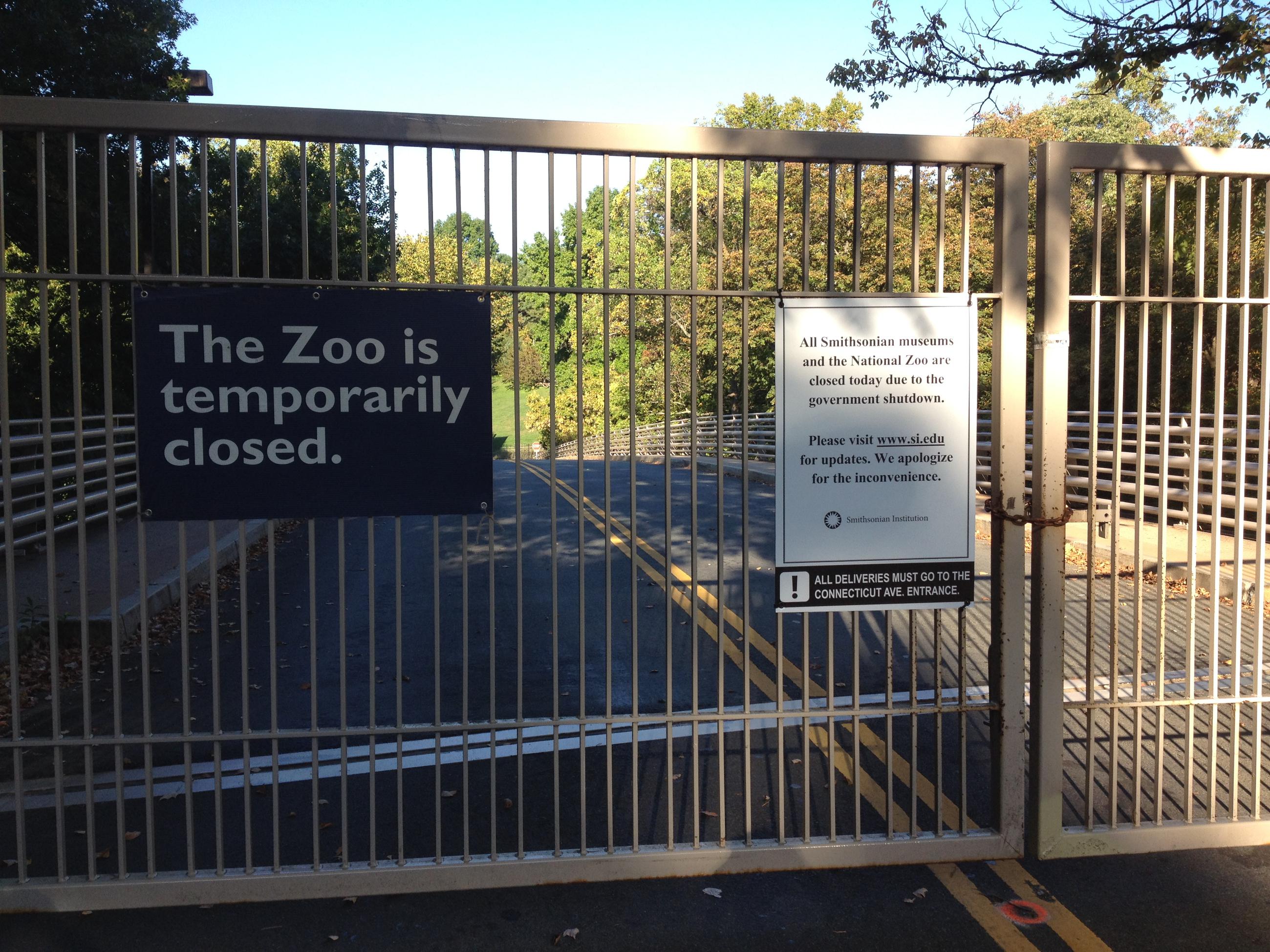 We Try to Find Animals at the ShutDown National Zoo