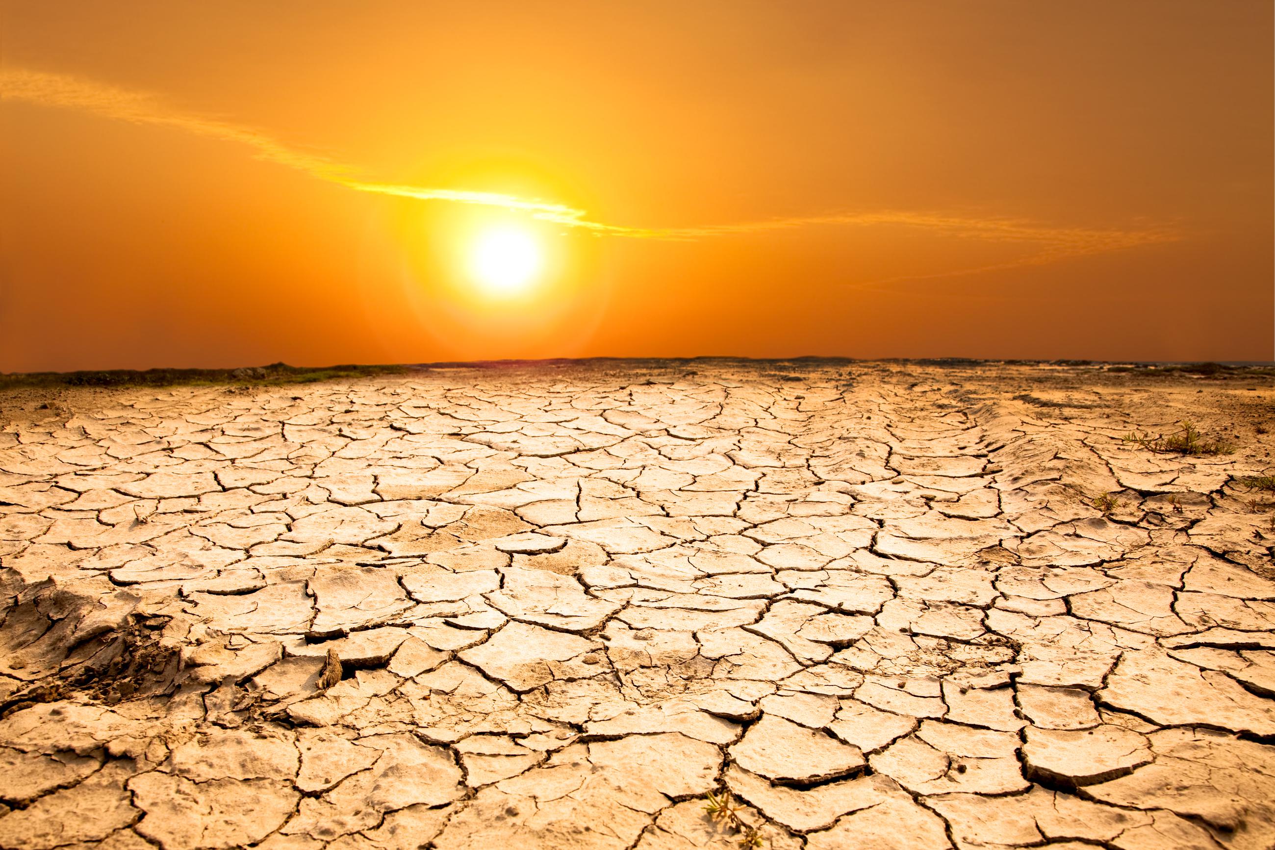 Засуха пришла. Опустынивание мертвого моря. Опустынивание Калифорния. Сахель опустынивание. Засуха.