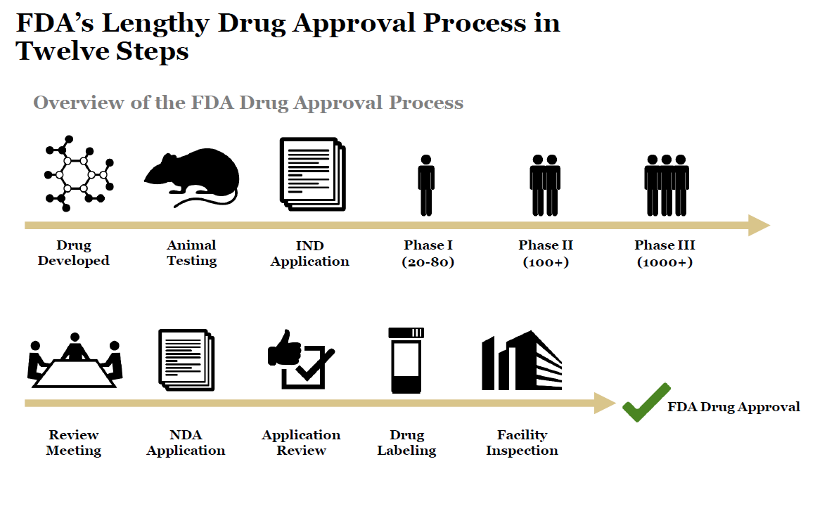 fda-s-lengthy-drug-approval-process-in-twelve-steps