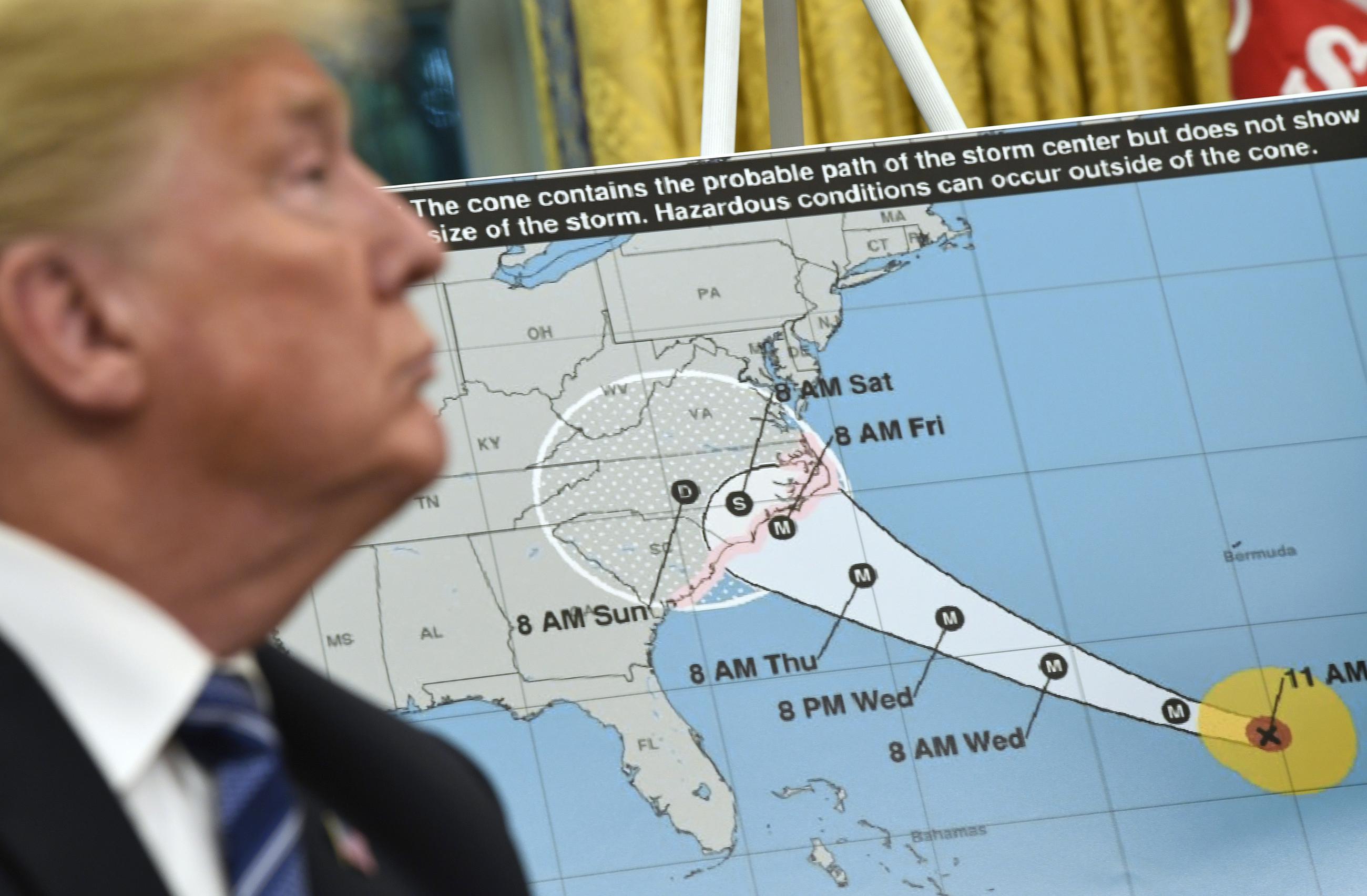 Florence And The Trump Twitter Machine