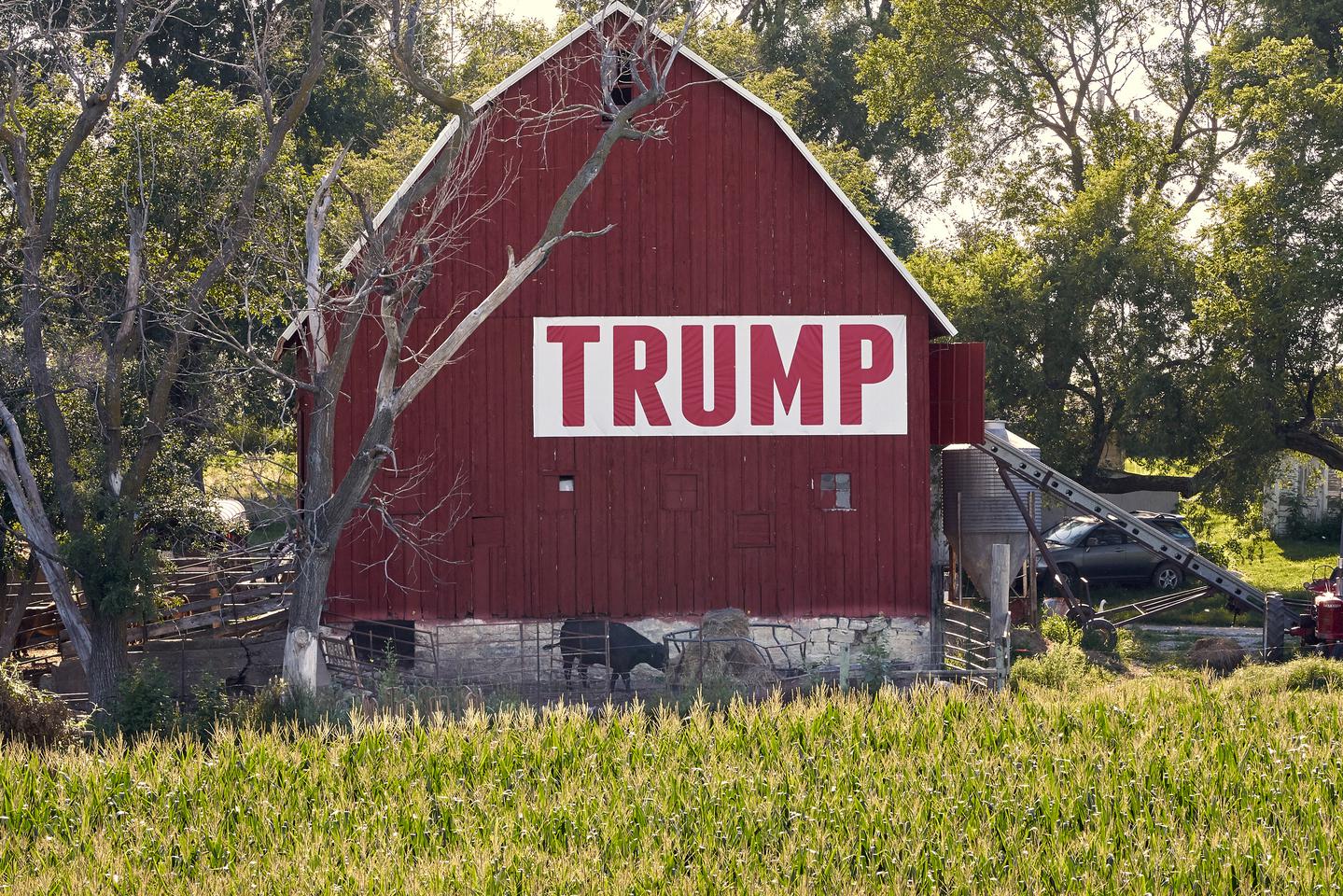 In this 2018 file photo, corn grows in front of a barn carrying a large Trump sign in rural Ashland, Neb. (AP Photo/Nati Harnik File)