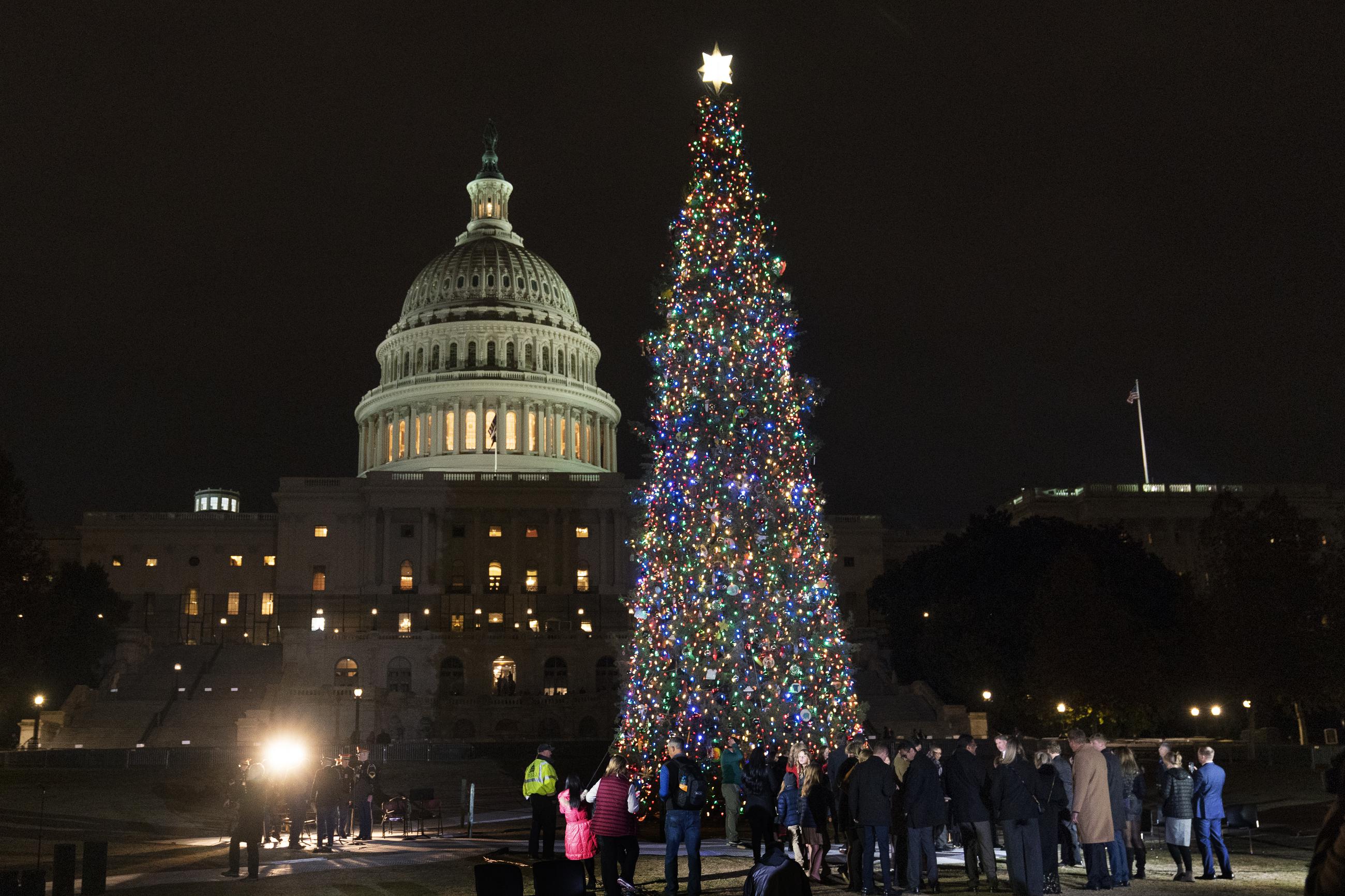 Congress skips Christmastreebill season this year