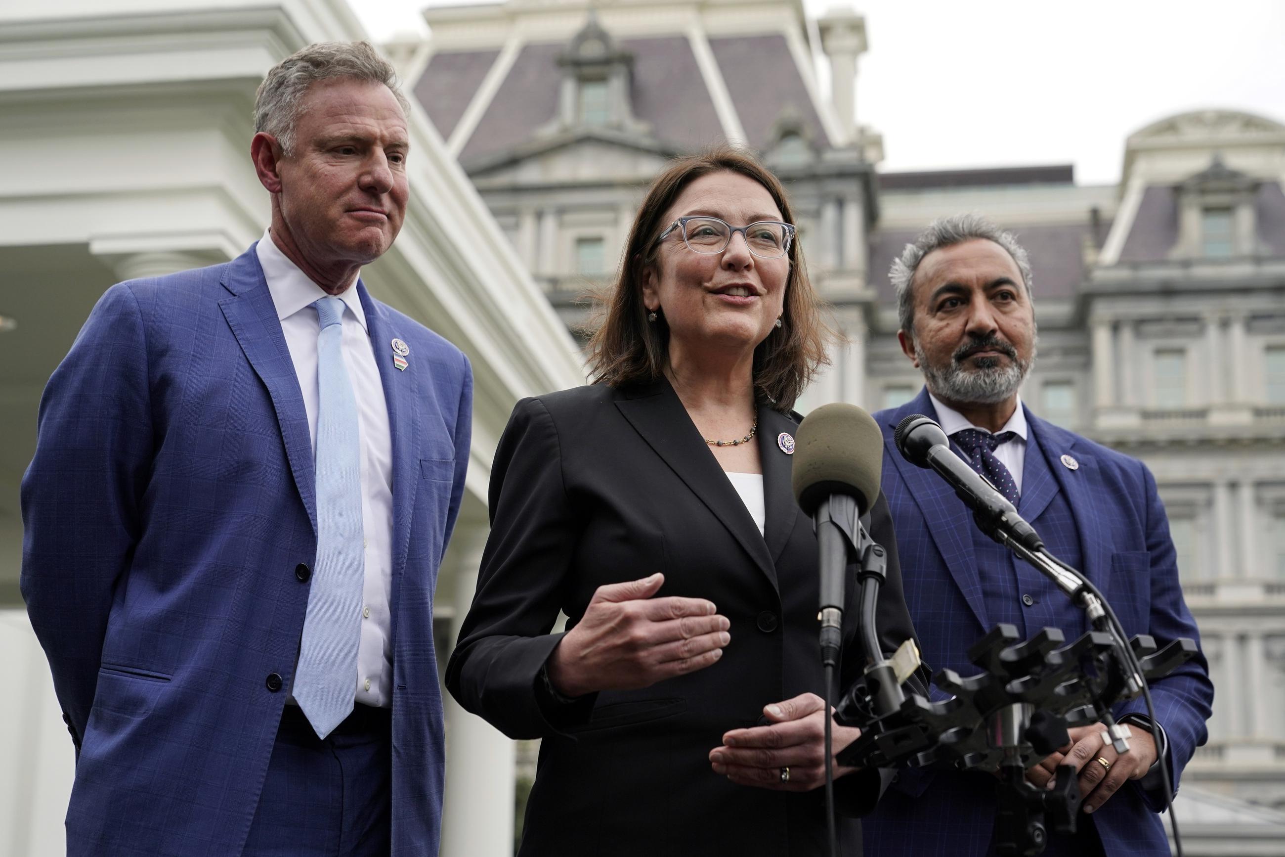 Democratic Congressional Campaign Committee Chair Suzan DelBene (center) (AP Photo/Patrick Semansky)