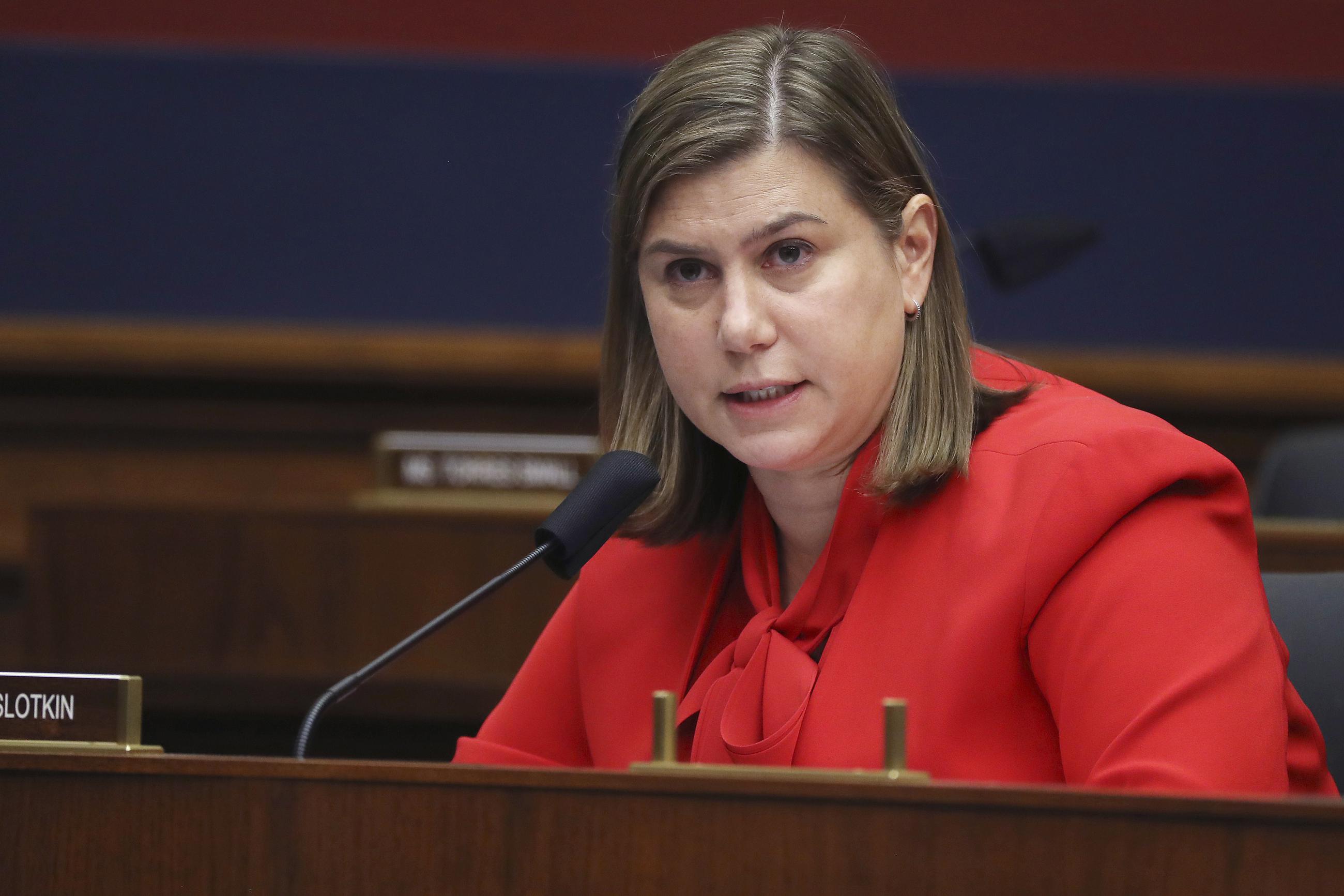 Wanted A Generic Republican in Michigan