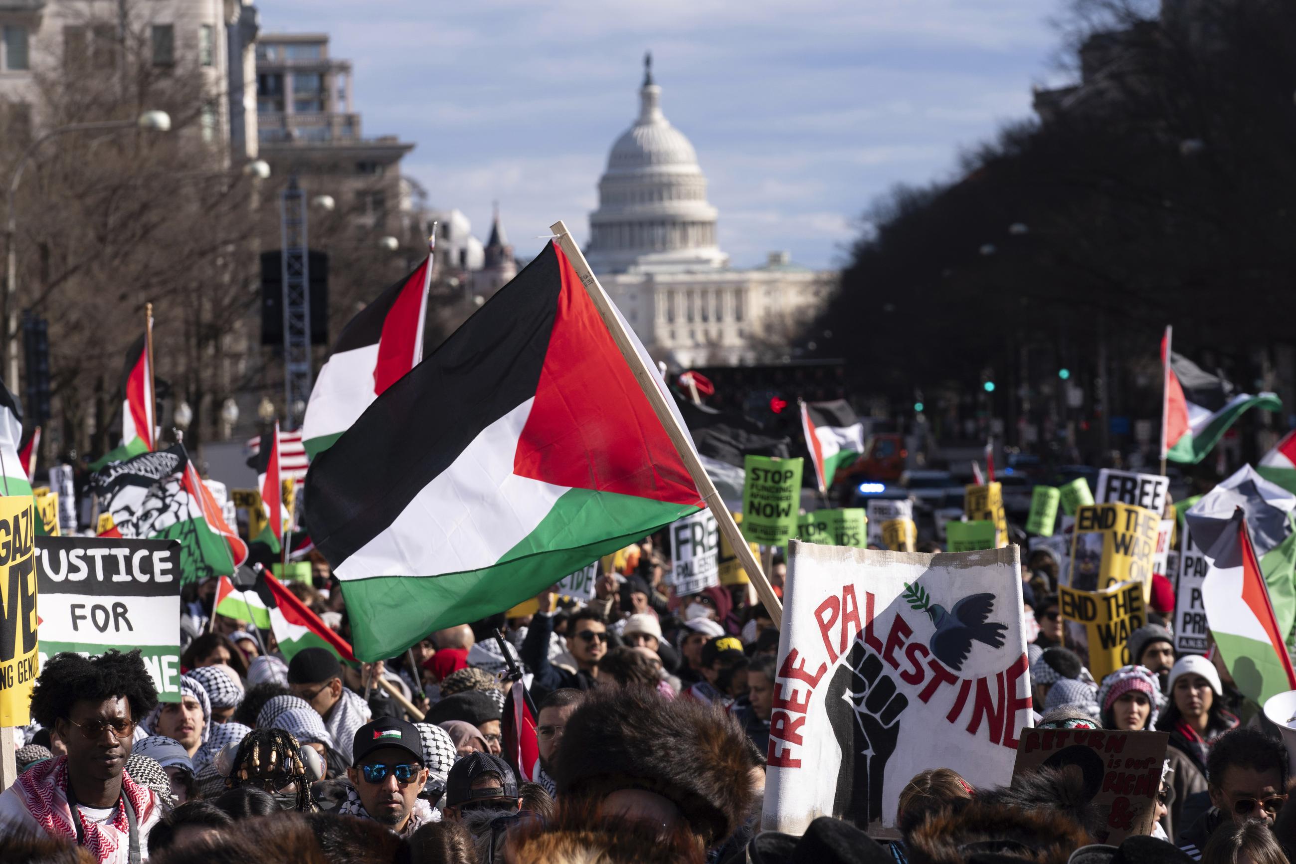 Demonstrators rally during the March on Washington for Gaza at Freedom Plaza in Washington in January. (AP Photo/Jose Luis Magana)