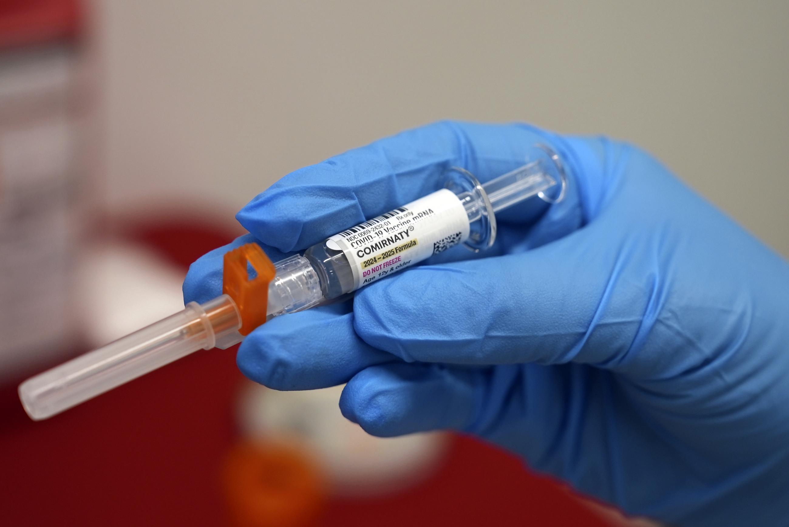 A COVID-19 vaccine (AP Photo/Mary Conlon, File)