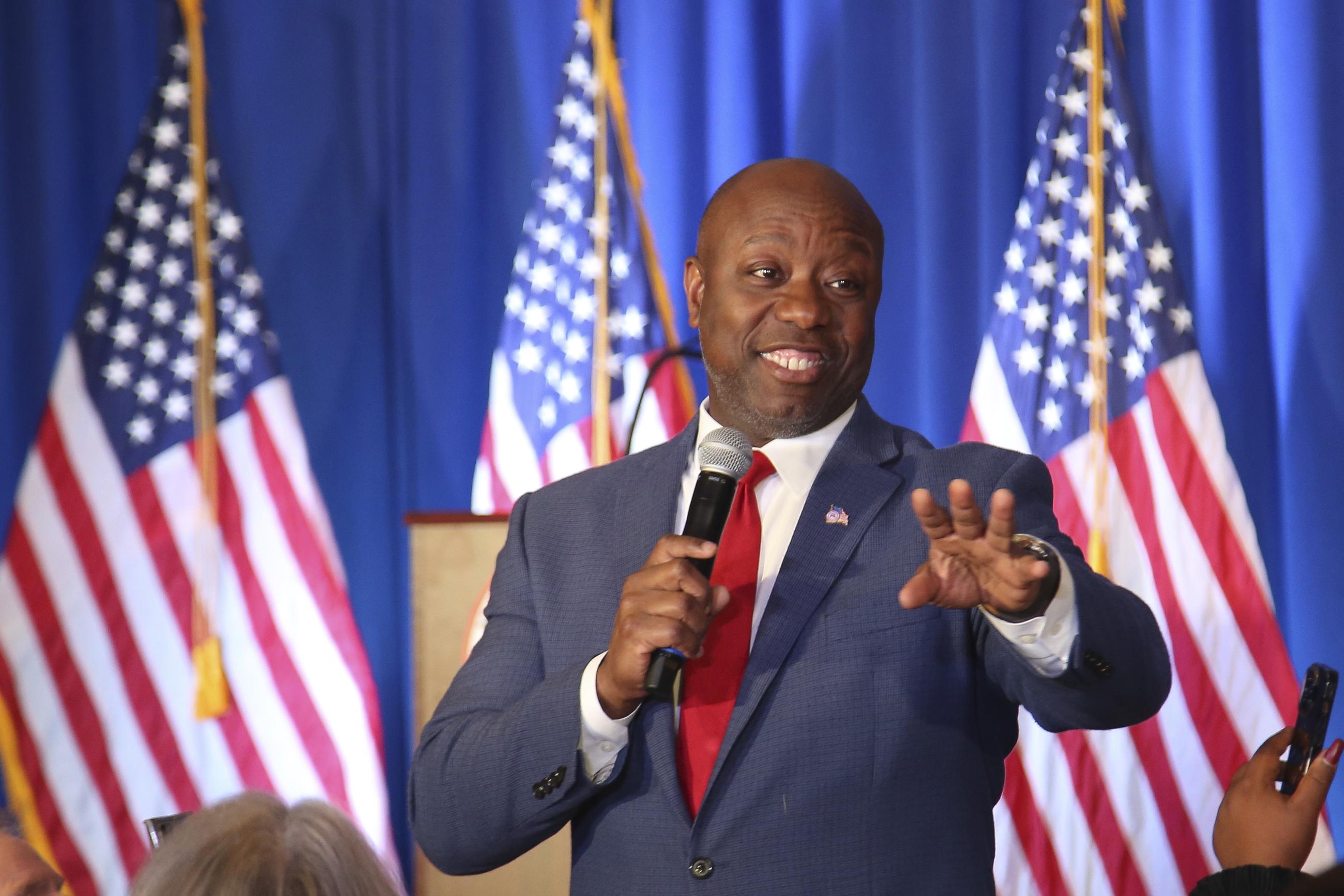 Sen. Tim Scott (AP Photo/Reba Saldanha, File)