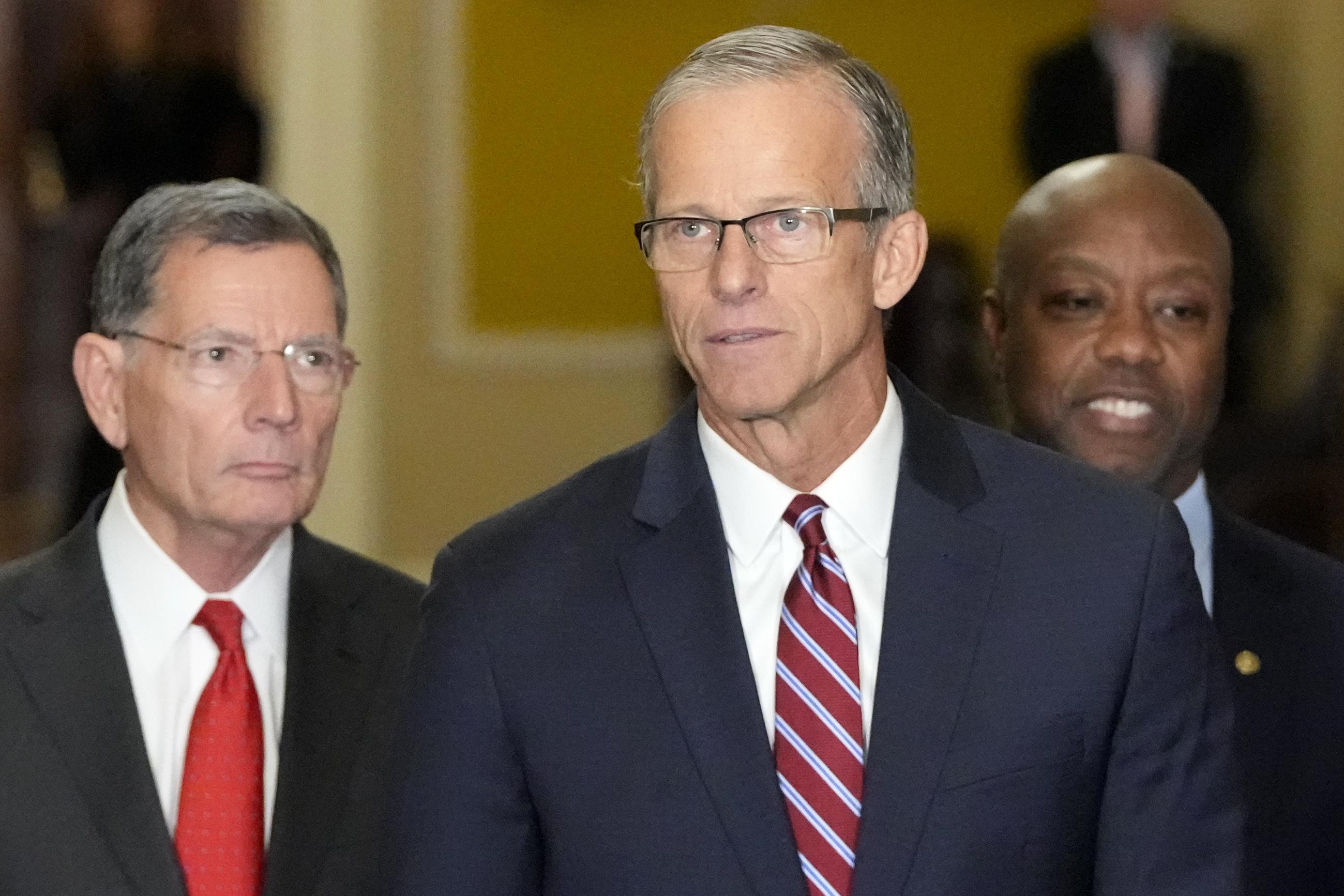 Incoming Senate Majority Leader John Thune, flanked by Sens. John Barrasso and Tim Scott, at a news conference on Nov. 13 (AP Photo/Mark Schiefelbein)