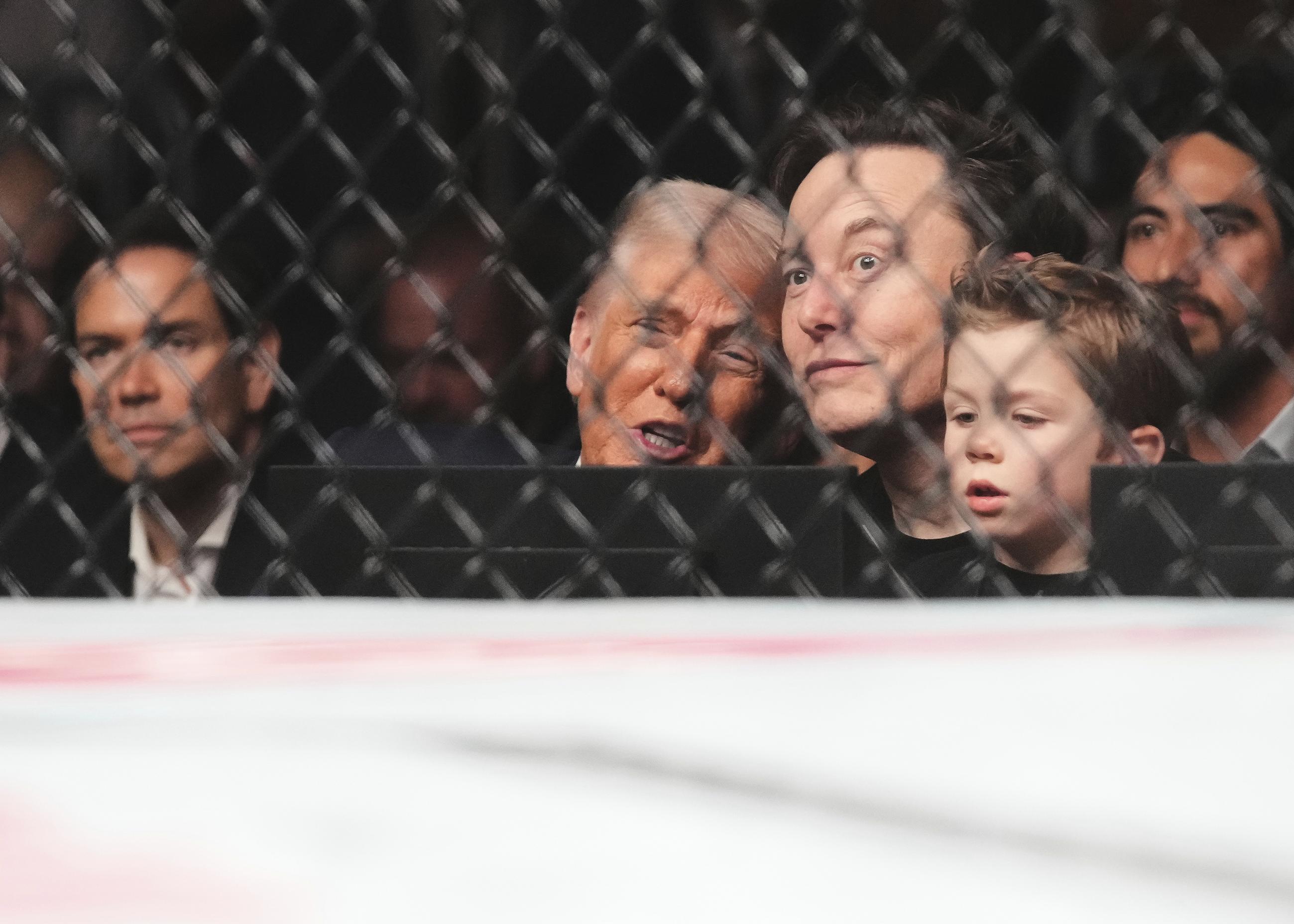 President Trump, from foreground center to right, Elon Musk, his son X Æ A-Xii, and in background at left, Secretary of State Marco Rubio attend a mixed martial arts fight at UFC 314 Saturday. (AP Photo/Lynne Sladky)