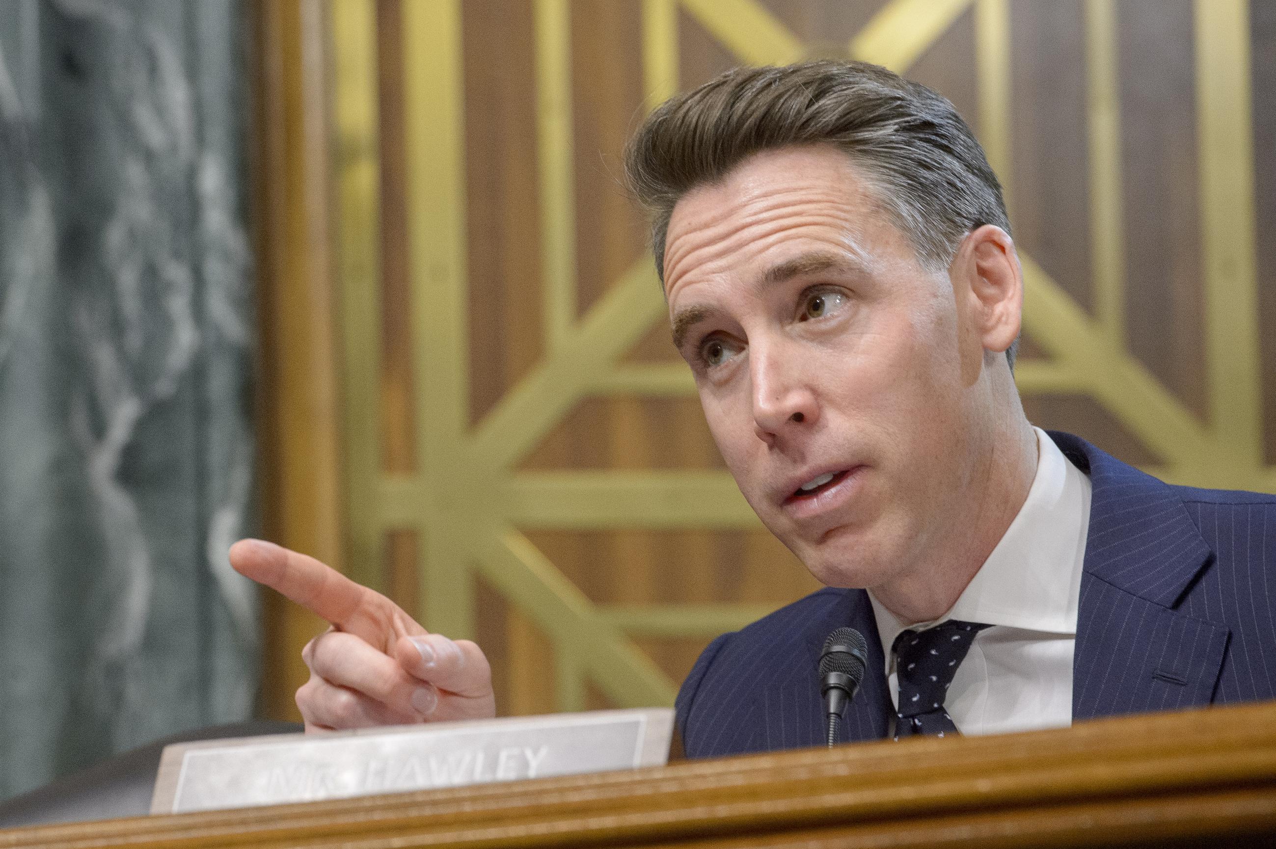 Sen. Josh Hawley (AP Photo/Rod Lamkey, Jr.)