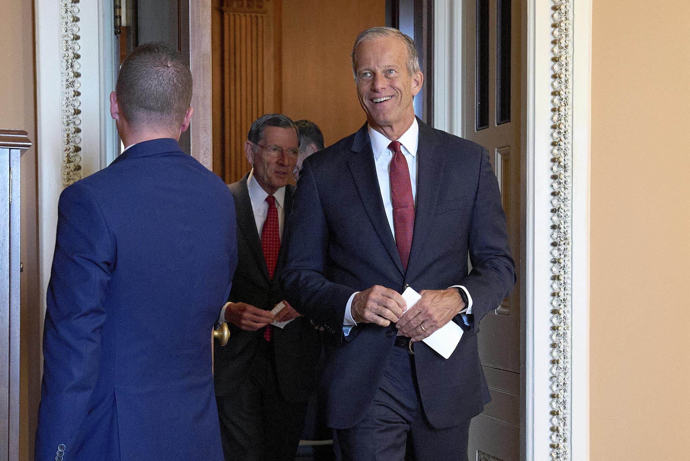 Senate Majority Leader John Thune (AP Photo/Jacquelyn Martin)