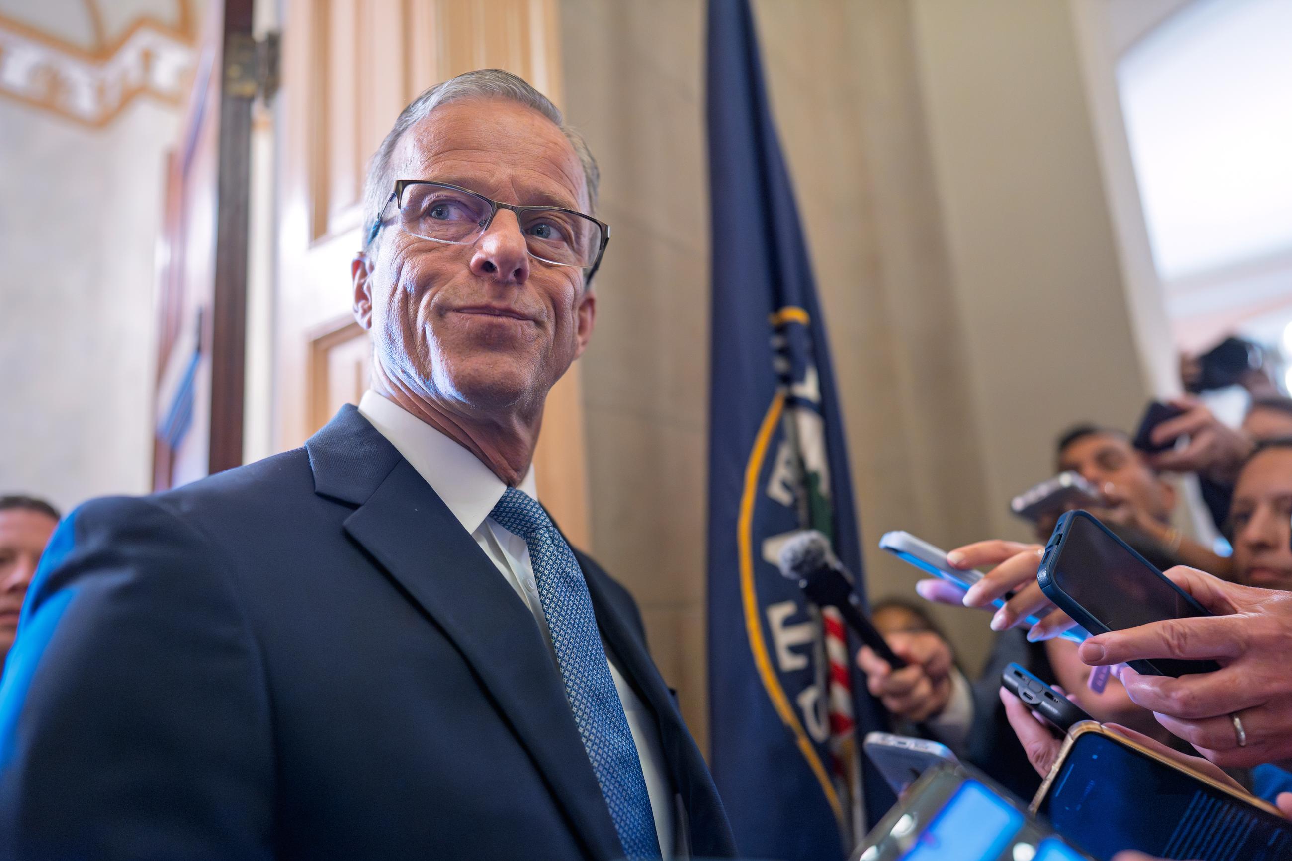 Senate Majority Leader John Thune (AP Photo/J. Scott Applewhite)
