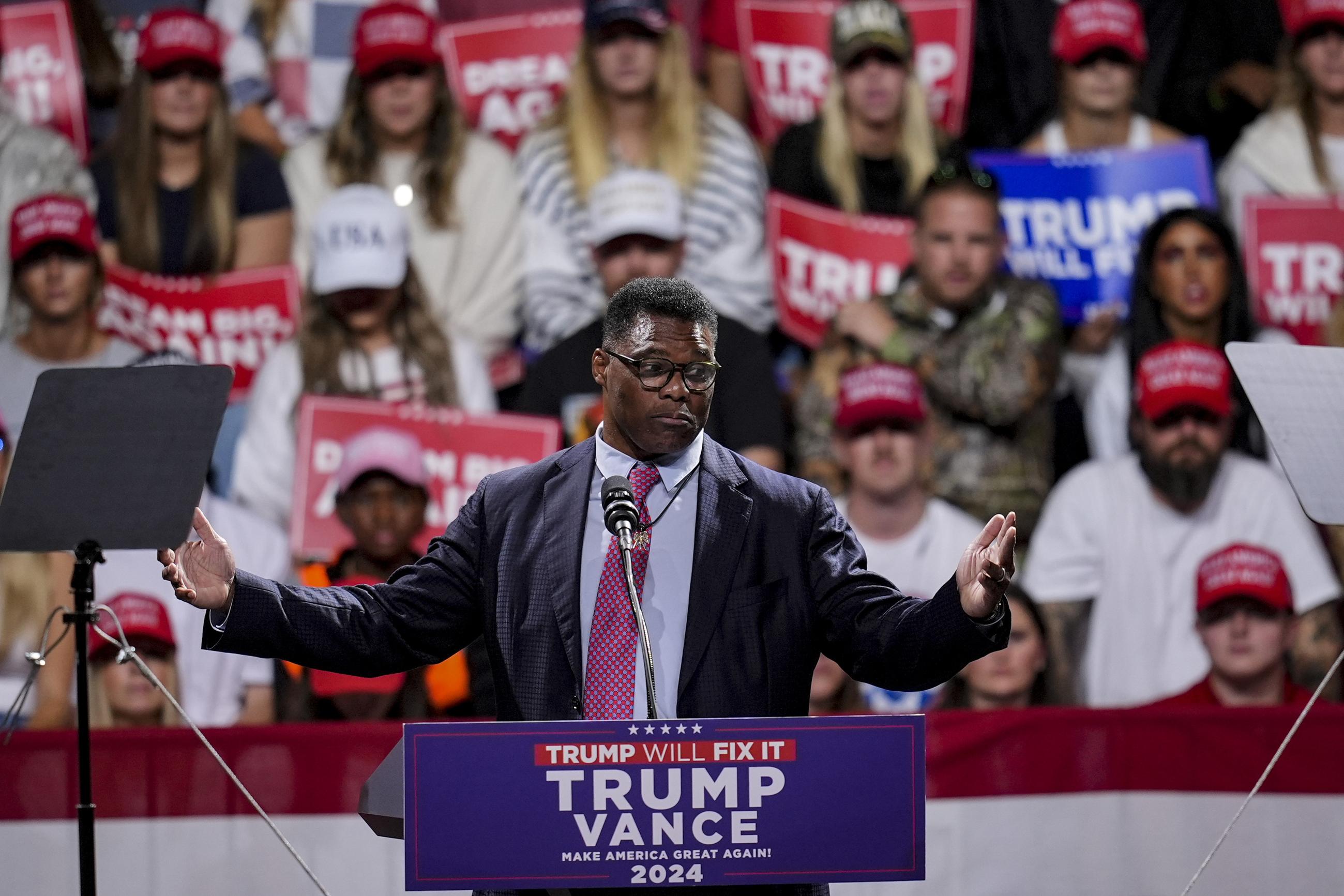 Herschel Walker (AP Photo/Mike Stewart)