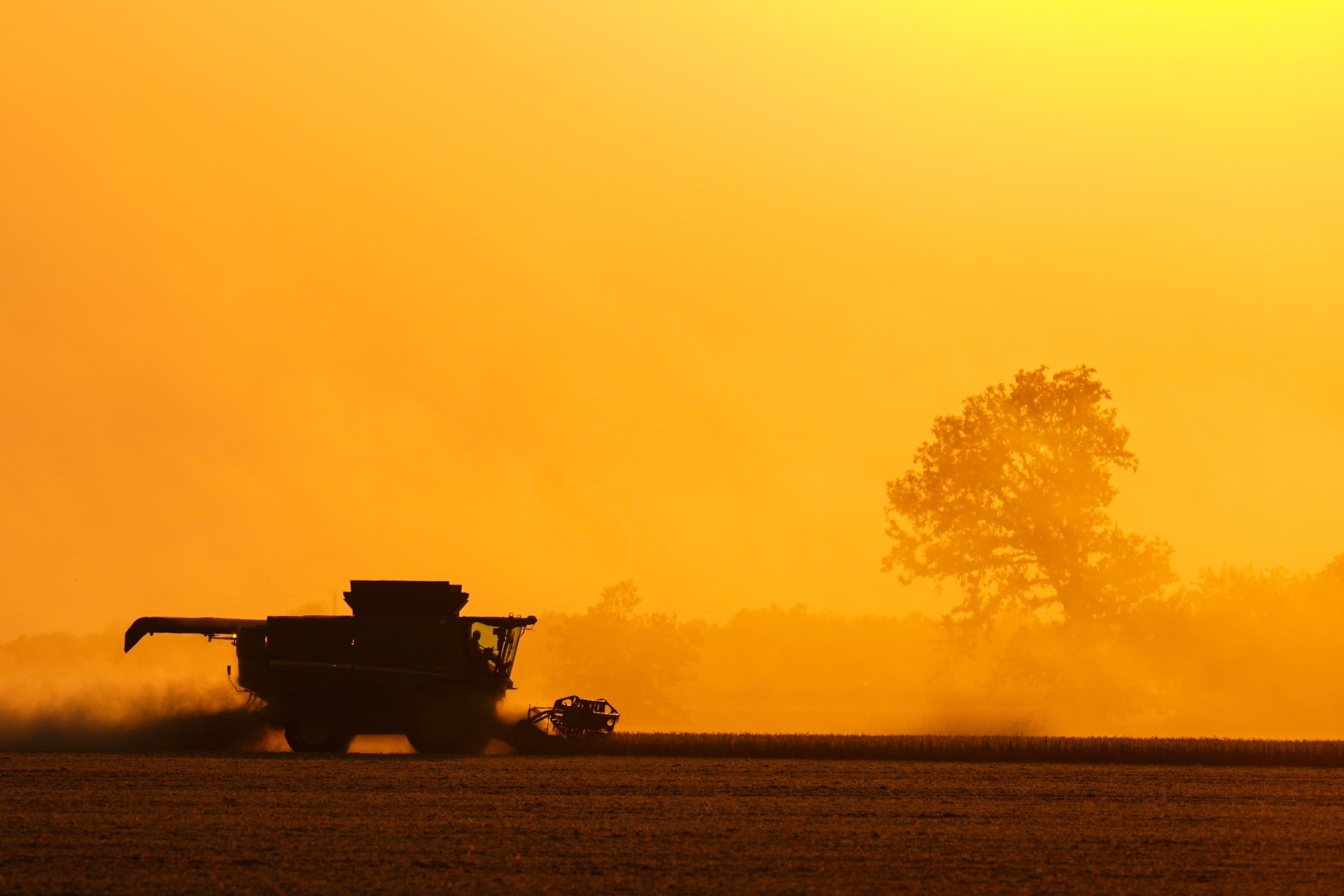 Soybeans are harvested at an Indiana farm. (AP Photo/Michael Conroy)