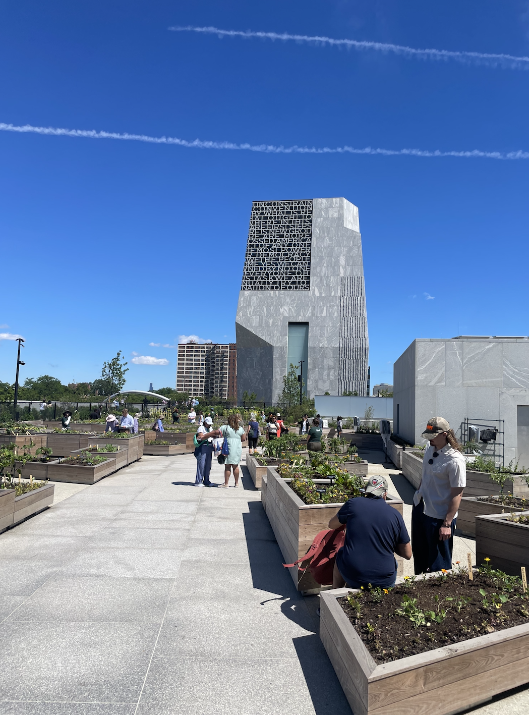 The garden at the Obama Presidential Center in Chicago