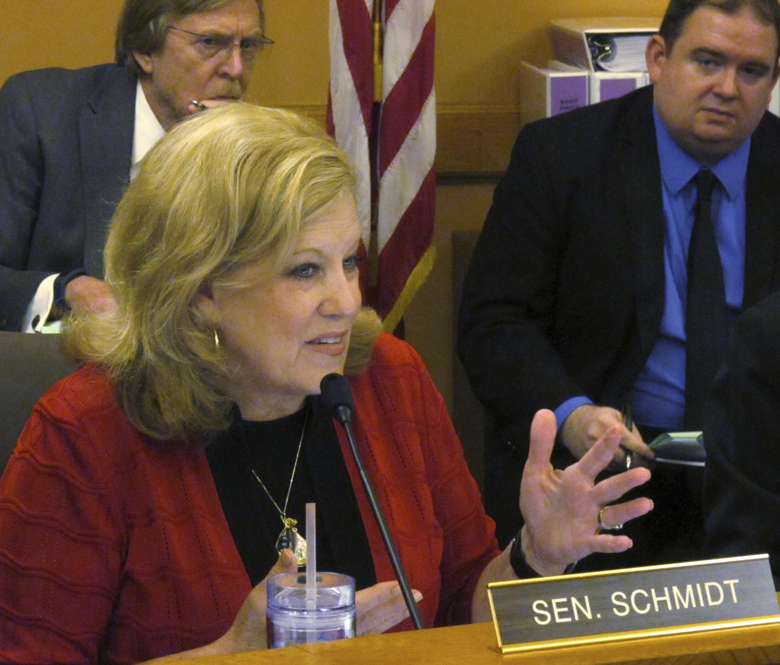 Kansas state Sen. Vicki Schmidt, R-Topeka, makes a comment during a Senate Ways and Means Committee discussion of budget proposals, Monday, March 20, 2017, at the Statehouse in Topeka, Kan. The committee is proposing a two percent pay increase for most state government workers. (AP Photo/John Hanna)