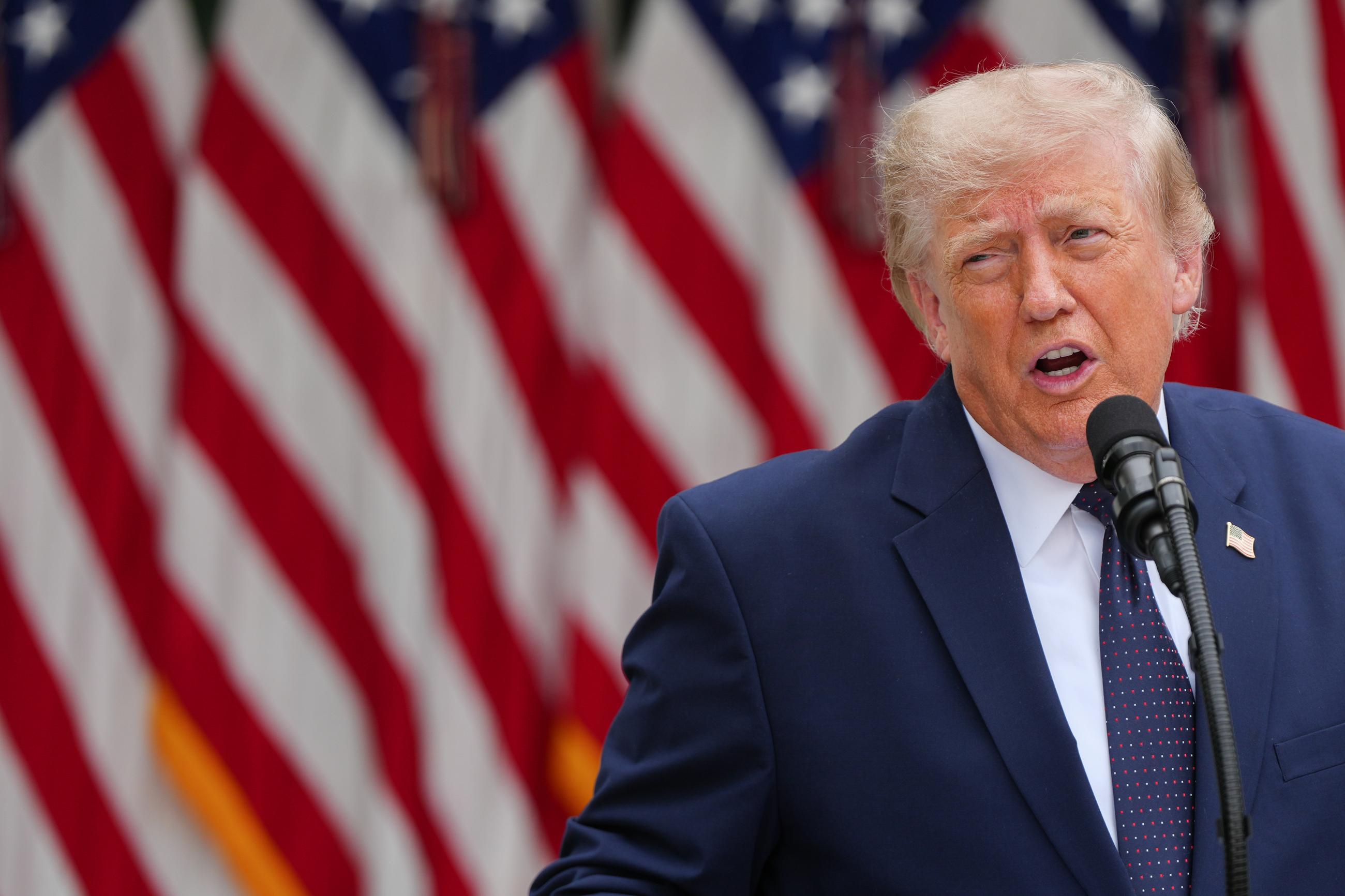 President Donald Trump speaks at a lunch in the White House Rose Garden, Monday, July 6, 2026, in Washington. (AP Photo/Julia Demaree Nikhinson)