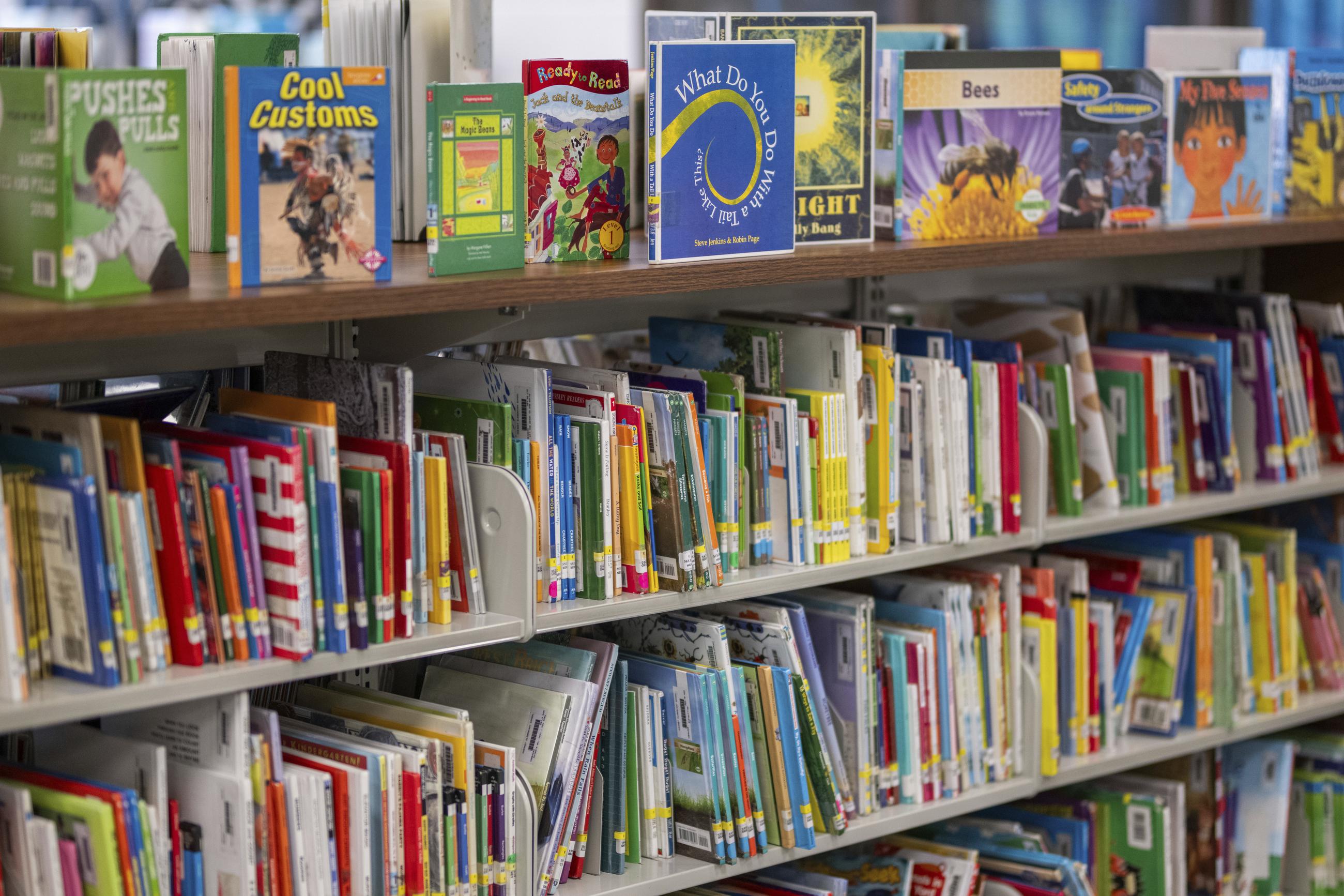 Books sit on shelves in an elementary school library in suburban Atlanta on Friday, Aug. 18, 2023 (AP Photo/Hakim Wright Sr.)