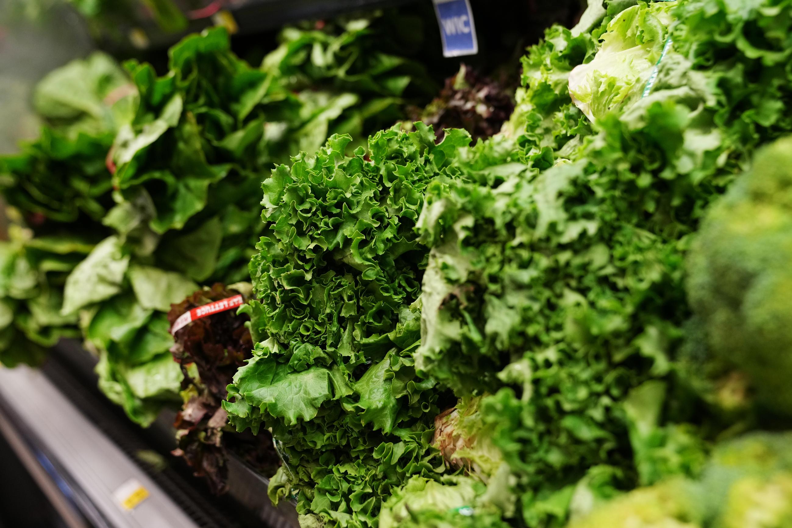 Lettuce is stocked in the produce section at a grocery-store chain in Minneapolis on July 31. (AP Photo/Ellen Schmidt)